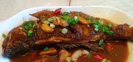 帝龍魚怎么吃（【皇帝魚的做法大全】皇帝魚怎么做好吃） 魚缸風水 第4張