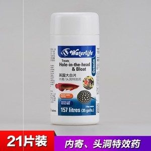 大白片龍魚內(nèi)外疾都用嗎（大白片是一種廣譜的魚藥） 魚缸風(fēng)水 第7張