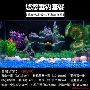 魚缸小裝飾（魚缸不養(yǎng)魚了怎么裝飾） 魚缸風(fēng)水 第6張