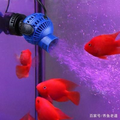 魚缸的上下水（如何預留魚缸上下水） 魚缸風水 第3張