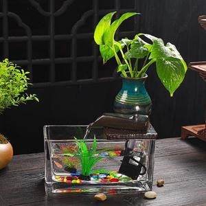 魚缸裝飾品（選擇魚缸裝飾品怎么賣）