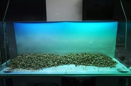 魚缸預留預埋水電圖怎么看（如何識讀魚缸預留預埋水電圖） 魚缸風水 第3張