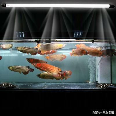 魚缸預留預埋水電圖怎么看（如何識讀魚缸預留預埋水電圖） 魚缸風水 第7張