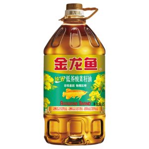 純金龍魚（純金龍魚是一種非常特別的龍魚品種） 魚缸風(fēng)水 第7張