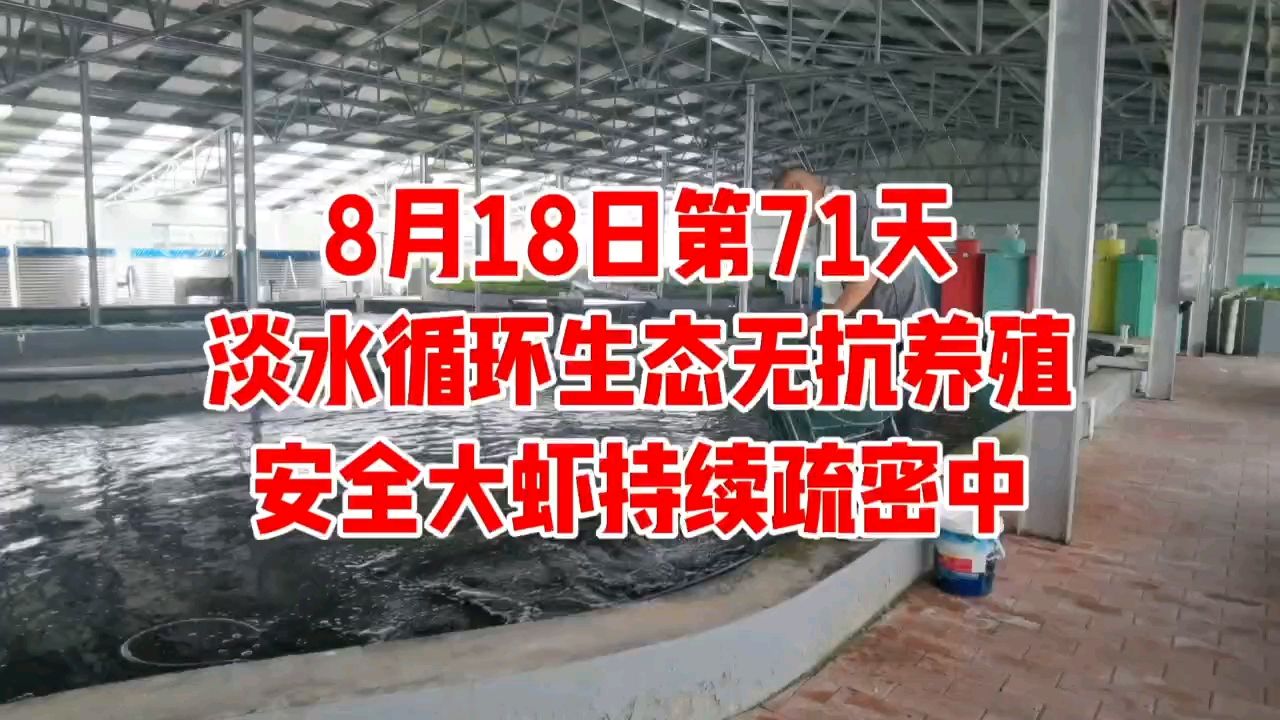 （費(fèi)斯卡年度最佳員工評論：龍魚可以增加配魚） 觀賞魚論壇