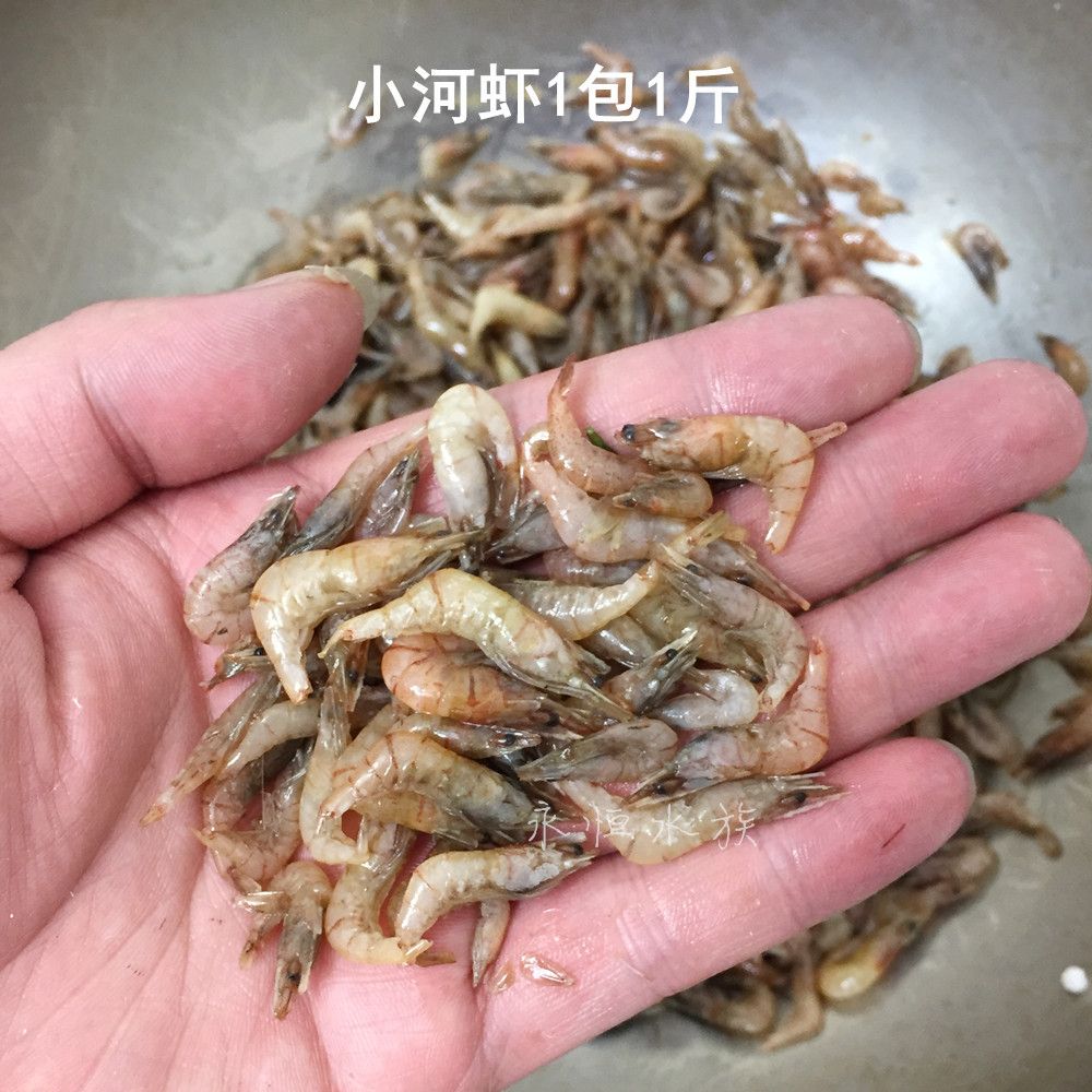 凍蝦怎么凍做龍魚飼料怎么凍（凍的大龍蝦怎么做） 魚缸風(fēng)水 第5張