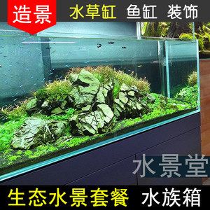 魚缸擺客廳什么位置最佳（杜鵑根對魚缸水的好處有哪些8款魚缸造景技巧） 魚缸風水 第7張