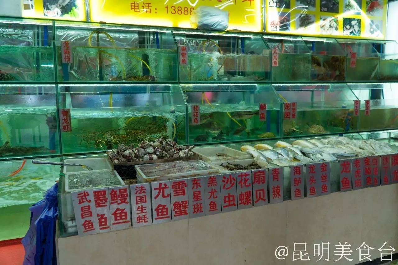 東莞哪里買龍魚（東莞哪里有賣龍魚的地方） 魚缸風(fēng)水 第6張