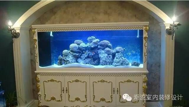 室內裝修魚缸好不好呢（室內裝修時是否放置魚缸） 魚缸風水 第4張