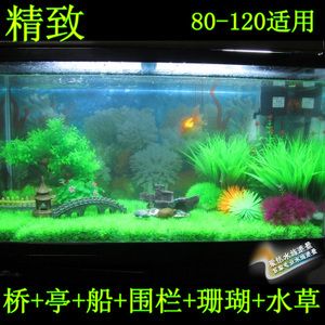 魚缸怎么裝飾（如何將魚缸裝扮的更漂亮？） 魚缸風水 第2張