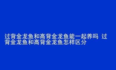 高背金龍魚能長多大（如何判斷高背金龍魚的健康狀態(tài)）