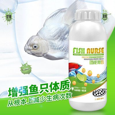 給龍魚喂益生菌有什么好處（龍魚喂益生菌具有多方面的好處龍魚益生菌對(duì)龍魚的影響）