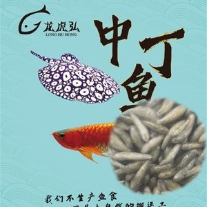 根地虎魚喂龍魚（根地虎魚可以作為龍魚的飼料嗎） 魚缸風水 第1張