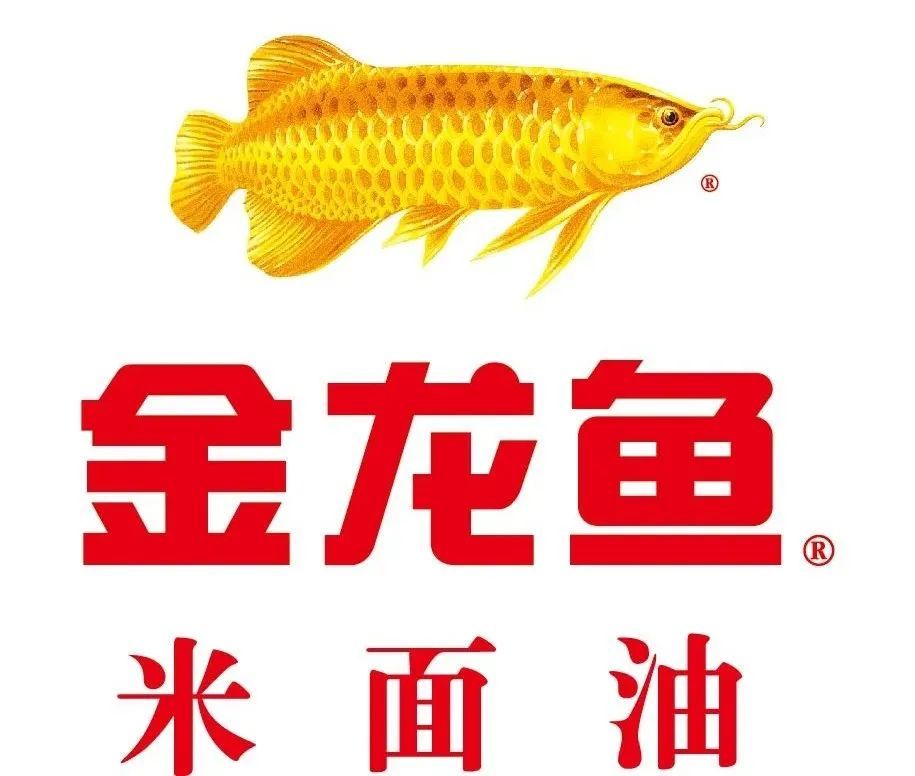 杭州金龍魚總代理電話（杭州金龍魚總代理） 龍魚百科 第1張