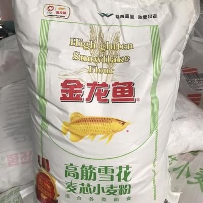 杭州金龍魚總代理電話（杭州金龍魚總代理） 龍魚百科 第2張