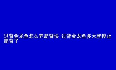 過背今龍魚什么階段增色最好（過背金龍魚最佳增色階段） 龍魚百科 第3張