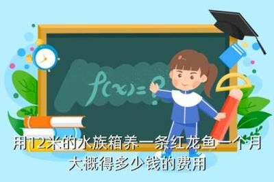 紅龍魚飼料比喂泥鰍好嗎：紅龍魚的飼料和泥鰍的飼養(yǎng)方法 龍魚百科 第1張