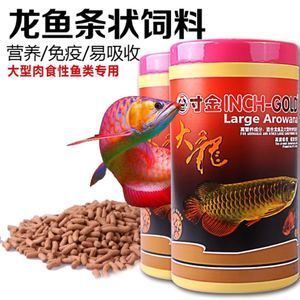 紅龍魚用什么飼料：如何自制紅龍魚飼料