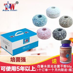 紅龍魚用什么濾材比較好：紅龍魚適合哪些濾材 龍魚百科 第4張