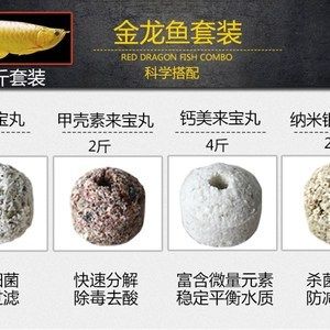 紅龍魚用什么濾材比較好：紅龍魚適合哪些濾材 龍魚百科 第2張