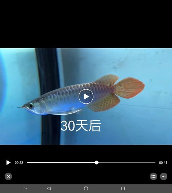 加了點科技大家看一下 有什么差別嗎：一個月的變化 觀賞魚論壇 第3張