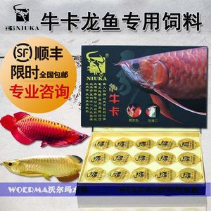 紅龍魚腸炎用什么藥：應(yīng)激性腸炎：通常無需用藥，保證停食、控制水質(zhì)，避免龍魚受驚 龍魚百科 第1張