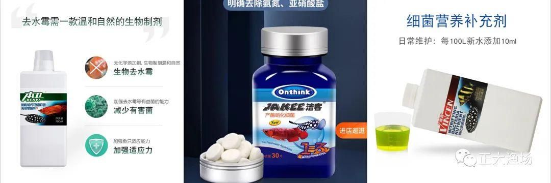 紅龍魚換水后停食嗎怎么辦：為什么紅龍魚換水后停食？ 龍魚百科 第1張