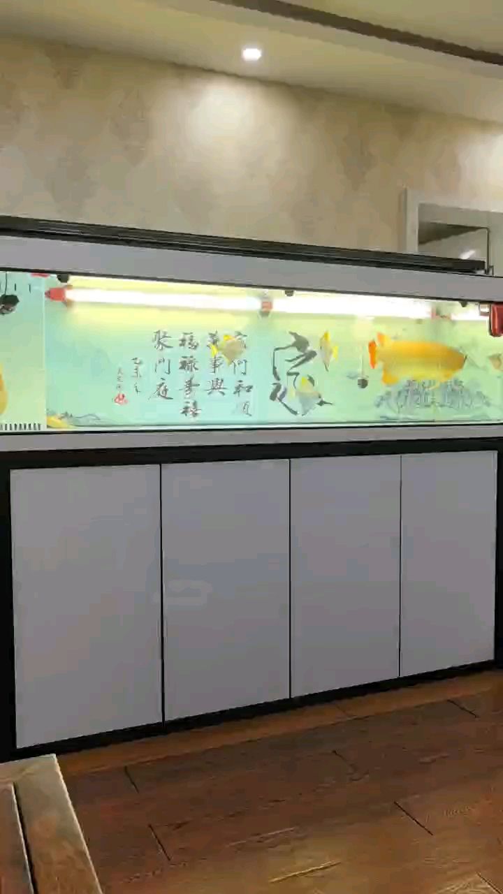 想出了這個魚缸【想出了這個魚缸,宇哥6519評論：好,龍巧兒評論：霸氣】 觀賞魚論壇