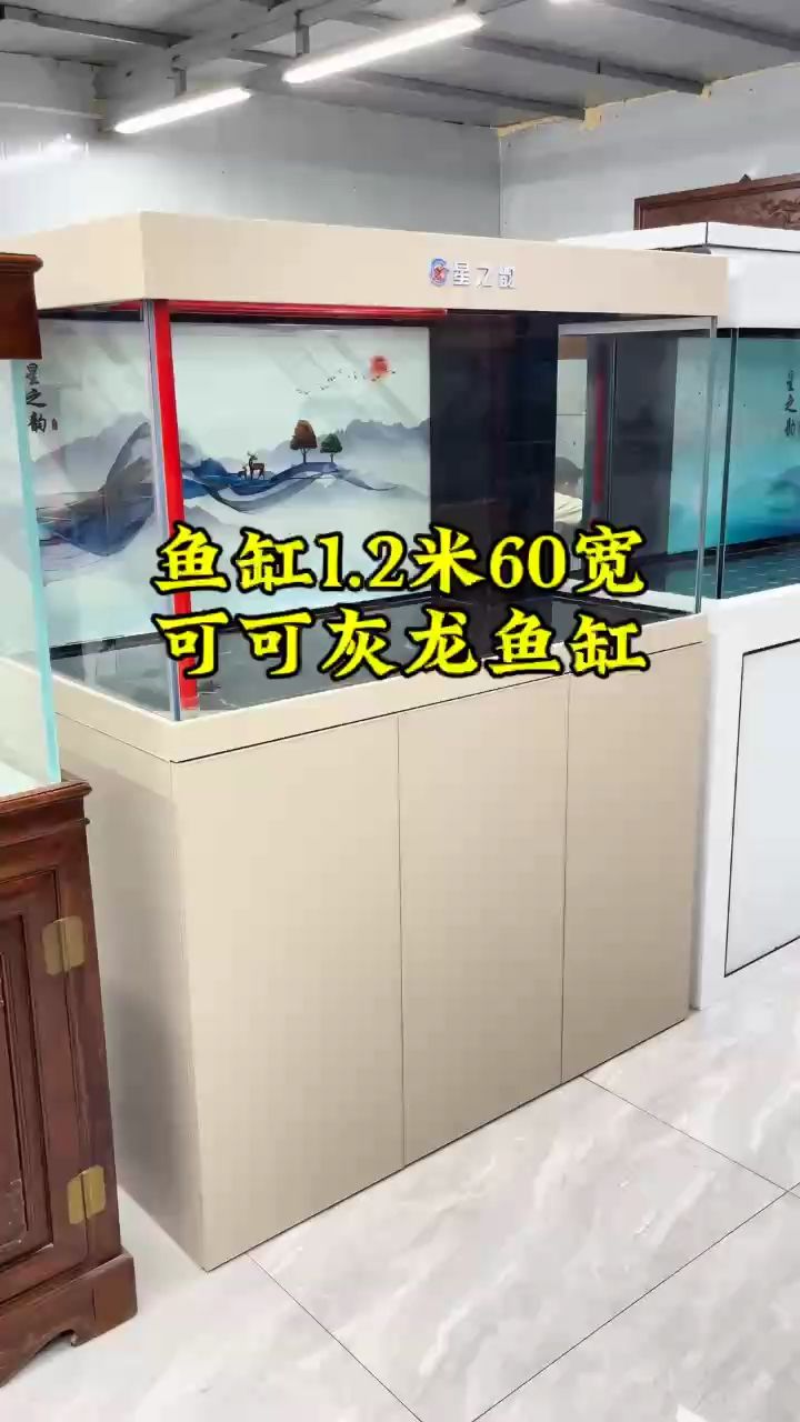 魚缸1.2米60寬魚缸水族箱，輕奢風(fēng)格魚【魚缸1.2米60寬魚缸水族箱】 觀賞魚論壇