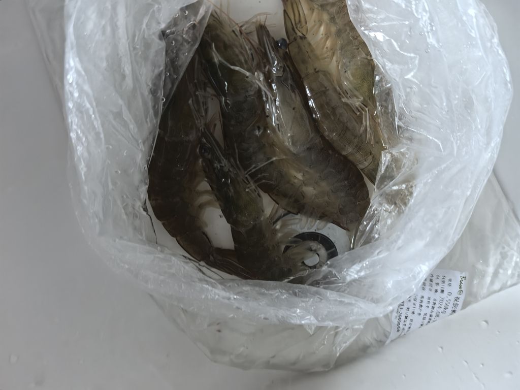 自己動手，制作魚糧【soeasy…新鮮大蝦買回來】 觀賞魚論壇 第1張