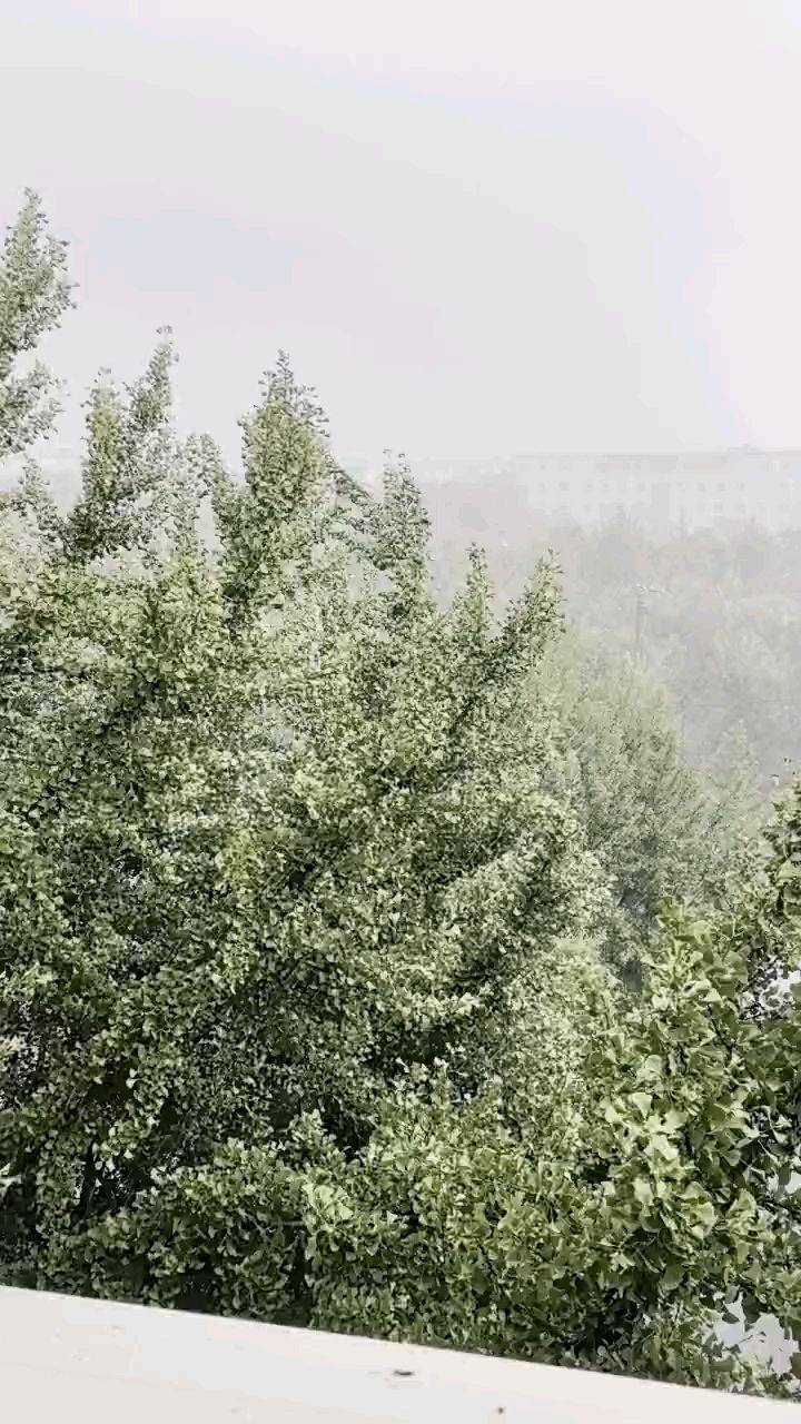 雨好大啊【這雨下的，涼快涼快,蜜糖六六評論：早[需手動填充]】