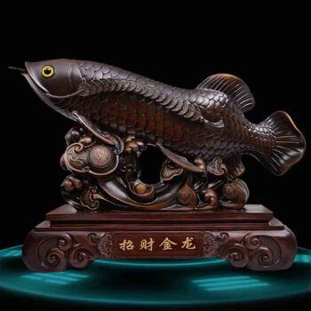 危險(xiǎn)【這次買的魚不行】 觀賞魚論壇 第4張