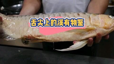 紅龍魚(yú)怎么吃【紅龍魚(yú)怎么吃找到35篇紅龍魚(yú)的食用方法紅龍魚(yú)的食用方法】