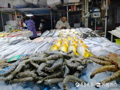 濟(jì)南哪里有賣龍魚的市場【濟(jì)南最大的龍魚市場在哪里？】 龍魚百科 第3張