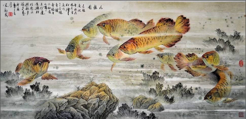 畫九條金龍魚怎么題詩【九條金龍魚題詩的經(jīng)典案例：九條金龍魚題詩的經(jīng)典案例】 龍魚百科 第1張