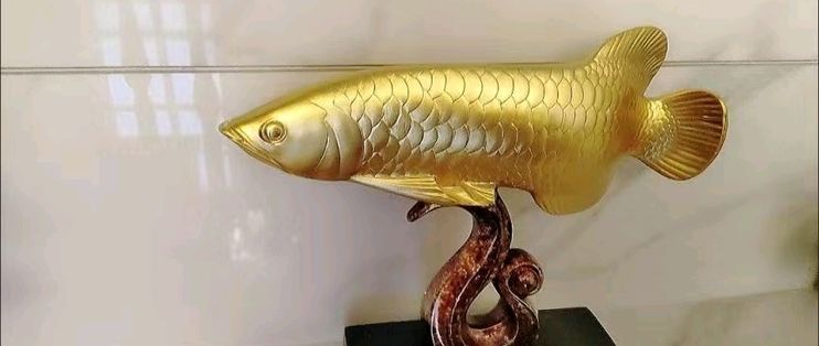 金龍魚擺件魚頭朝向門外好不好【金龍魚擺件魚頭朝向的風水講究金龍魚擺件魚頭朝向的寓意】 龍魚百科 第2張