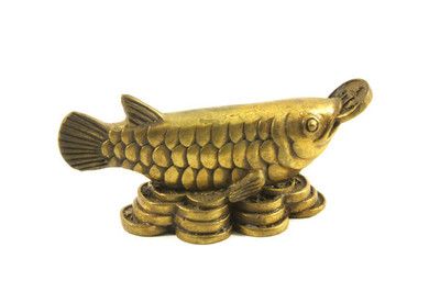 黃銅金龍魚寓意什么【黃銅金龍魚寓意與風(fēng)水】 龍魚百科 第1張