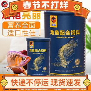 金龍魚 脫肛差不多一個月了還能好嗎【如何判斷金龍魚脫肛是否能好】 龍魚百科 第5張