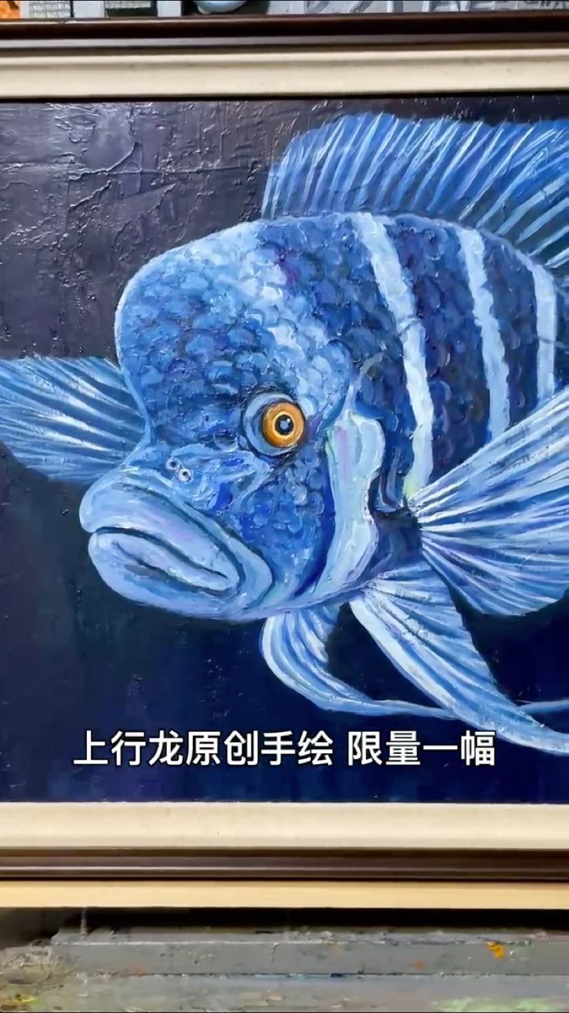 薩伊藍(lán)來了，屬于養(yǎng)魚人的一眼好心情！【[kafei],啊哦咿嗚評論：真棒】