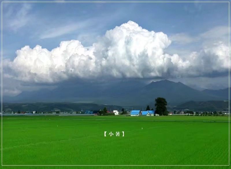 今日小署【今日小署今日小署】 觀賞魚論壇