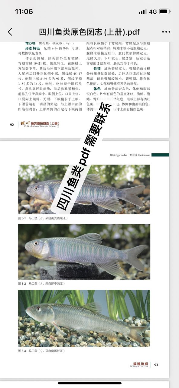 四川魚類原色pdf.  需要聯(lián)系【原生魚圖鑒】 觀賞魚論壇