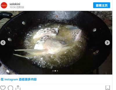 金龍魚十天不喂能行嗎【金龍魚十天不喂食可行嗎】 龍魚百科 第2張