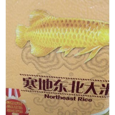 金龍魚散尾【金龍魚為什么會(huì)散尾】 龍魚百科 第5張