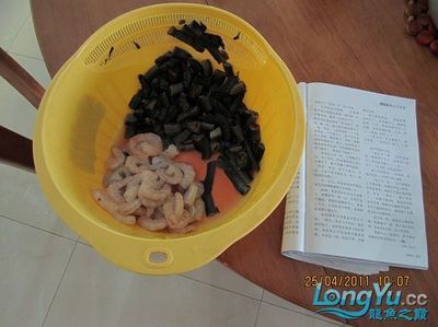 龍魚拔鱗片干嘛【治療受傷或腐爛的鱗片，龍魚拔鱗片手術(shù)時需要注意以下幾點(diǎn)】 龍魚百科 第4張