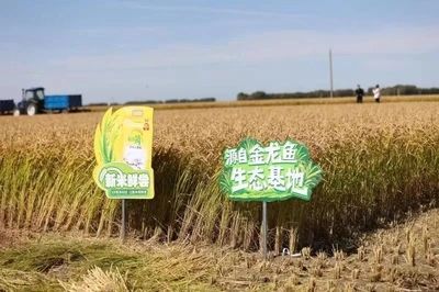 金龍魚糧油生產(chǎn)基地【金龍魚糧油生產(chǎn)基地在哪里？】 龍魚百科 第3張