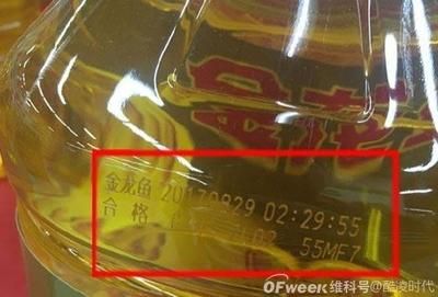 金龍魚掃芯片號碼查詢【金龍魚的芯片查詢】 龍魚百科 第5張