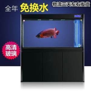 龍魚扒缸狀什么樣【龍魚扒缸是怎么回事】 龍魚百科 第3張