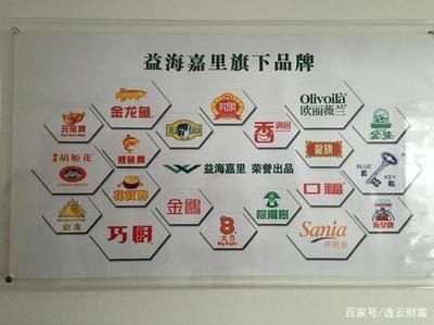 金龍魚企業(yè)的主要競爭對手【金龍魚在糧油市場面臨著多個競爭對手】 龍魚百科 第5張