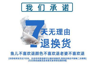 龍魚不喜歡什么顏色【龍魚不喜歡什么顏色,龍魚不喜歡什么顏色的顏色】 龍魚百科 第1張