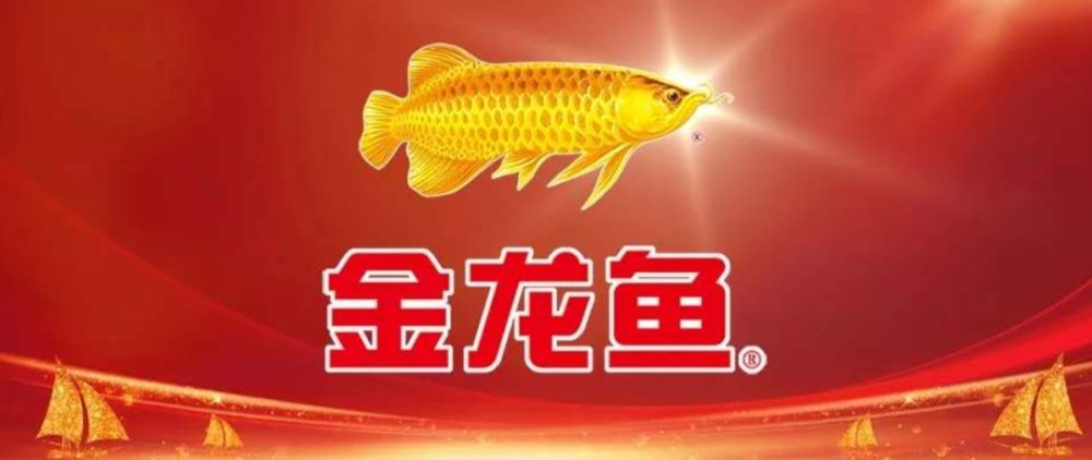 金龍魚(yú)上班怎么樣【金龍魚(yú)工作環(huán)境怎么樣？】 龍魚(yú)百科 第2張